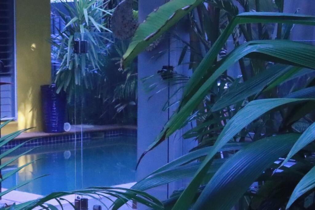 Villa Beauty Tiny Walk To Sea Port Douglas Exterior foto